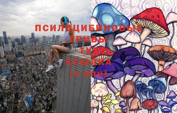 прущая мука Бугульма