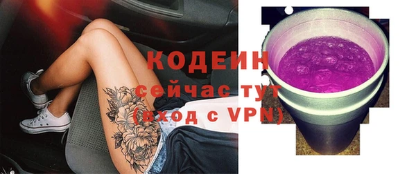 стафф Бородино