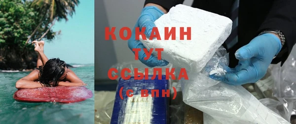 тгк Богородицк