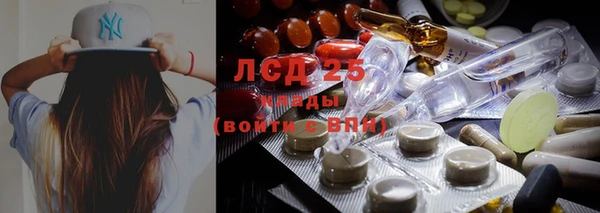 шишки Богданович