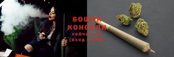 тгк Богородицк