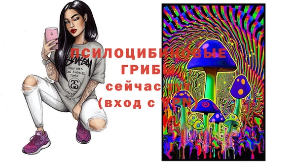 тгк Богородицк