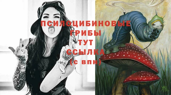 шишки Богданович
