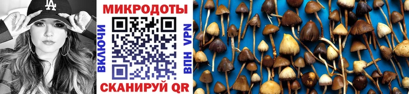 Купить закладки  Уварово  Галлюциногенные грибы Psilocybine cubensis 